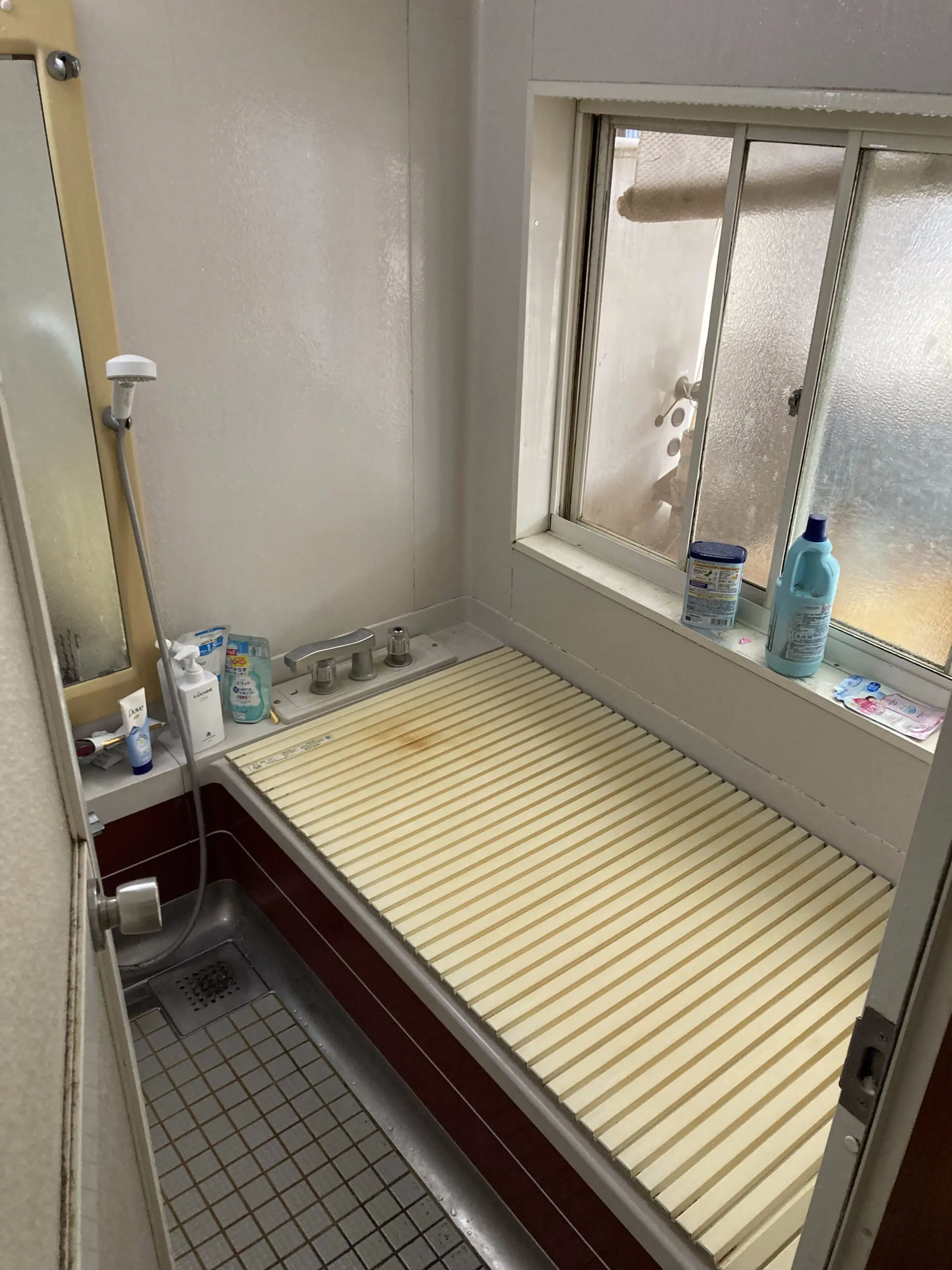 写真ギャラリー